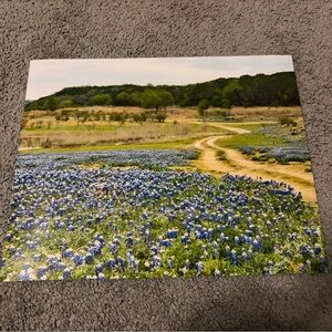 8” x 10” Bluebonnet Print